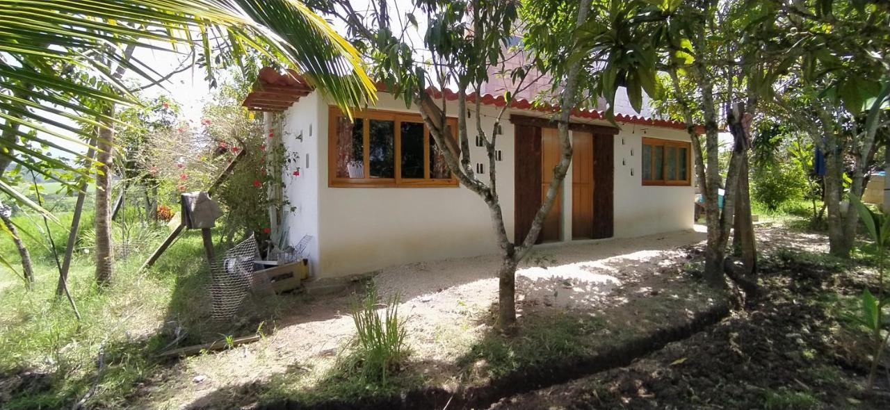 Casita Tonina Bed & Breakfast Ocosingo Dış mekan fotoğraf