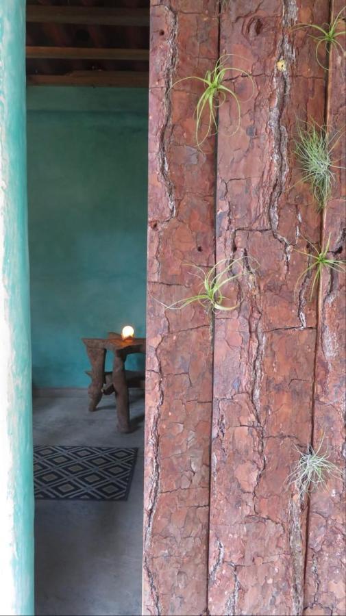 Casita Tonina Bed & Breakfast Ocosingo Dış mekan fotoğraf
