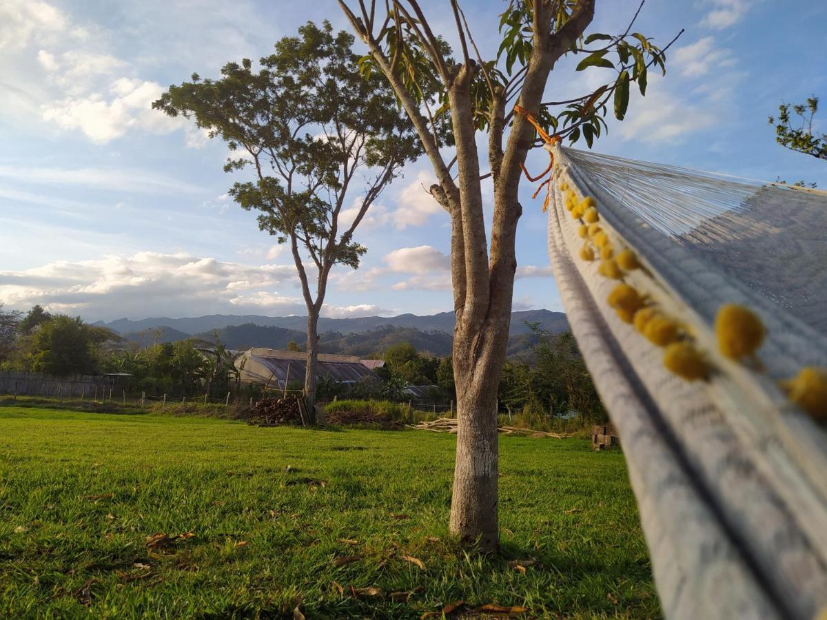 Casita Tonina Bed & Breakfast Ocosingo Dış mekan fotoğraf