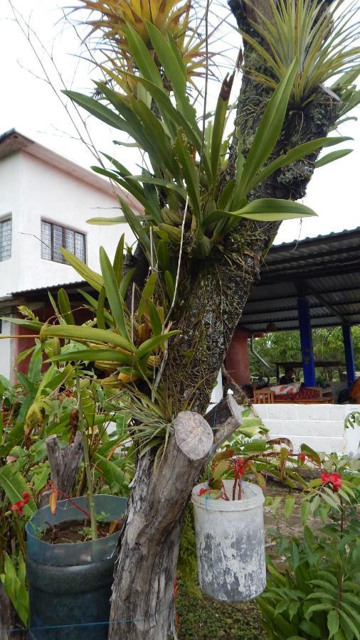 Casita Tonina Bed & Breakfast Ocosingo Dış mekan fotoğraf