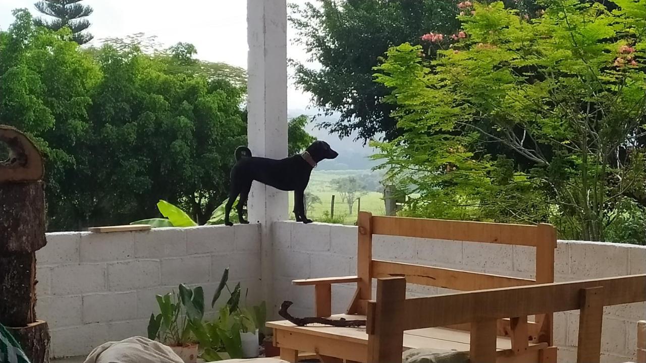 Casita Tonina Bed & Breakfast Ocosingo Dış mekan fotoğraf